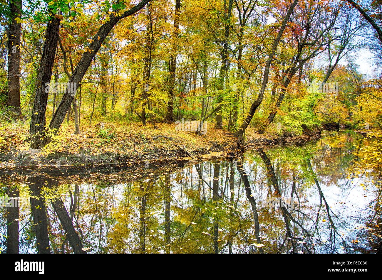 La modifica lascia portare gli schizzi di colore per i parchi e i flussi in Medford, NJ. Foto Stock