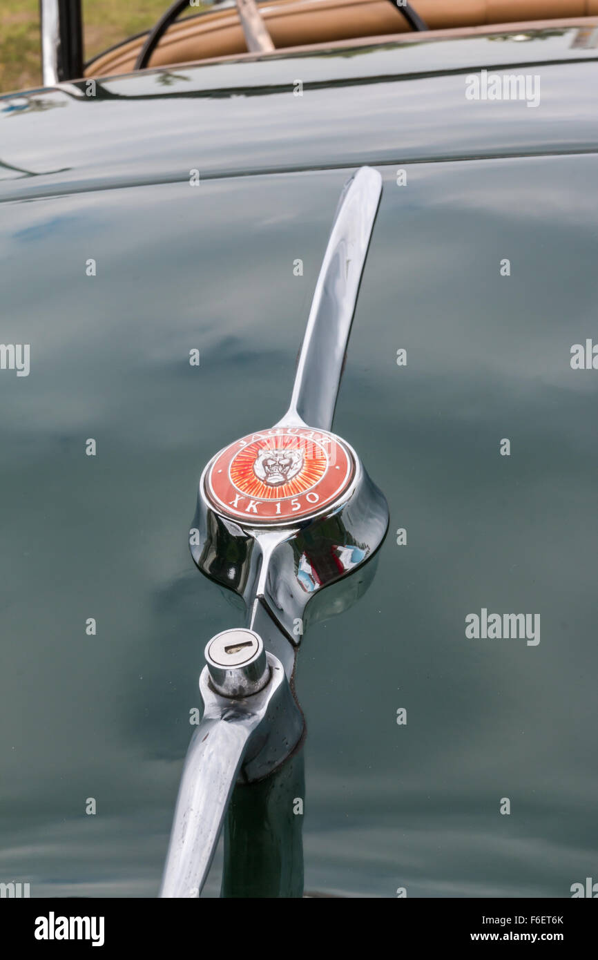 PARMA, Italia - Aprile 2015: Jaguar XK 150 emblema sul baule auto, auto vista posteriore Foto Stock