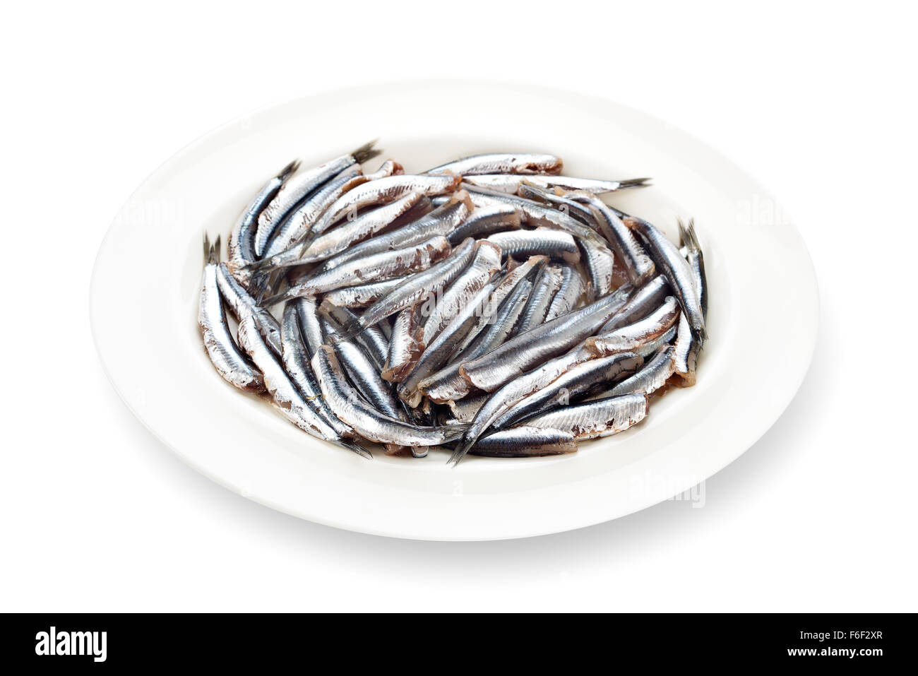 Acciughe fresche preparate piatti di pesce senza testa stoviglie con la sua ombra su sfondo bianco Foto Stock