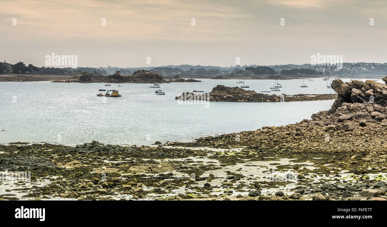 Litorale con la bassa marea, Bretagna Francia Foto Stock