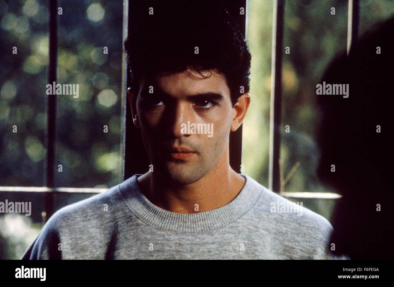 Sep 16, 1988; Los Angeles, CA, Stati Uniti d'America; relativi: Viva Pedro : Matador. Data di rilascio: Settembre 16, 1988. Direttore: Pedro Almod-var. STUDIO: El Desio S.A. Trama: Ex-torero che è sempre acceso uccidendo, signora avvocato con lo stesso problema e il giovane uomo pazzo pilotato da un eccesso di educazione religiosa - questi sono i personaggi principali in questa elegante commedia nera sui lati oscuri della natura umana. Nella foto: attore Antonio Banderas come angelo. Foto Stock