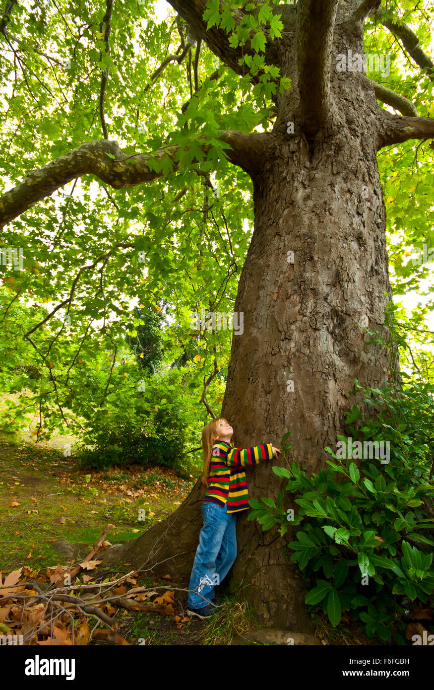 Ragazza ed albero Foto Stock