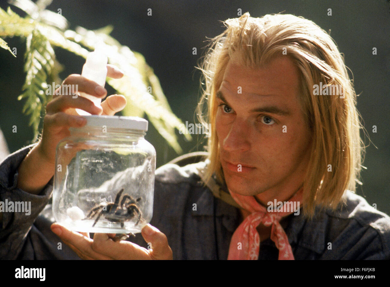 Data di rilascio: luglio 18, 1990 il titolo del filmato: Arachnophobia STUDIO: Hollywood Pictures Regista: Frank Marshall Trama: un ragno di grandi dimensioni dalla giungla del Sud America viene accidentalmente trasportato in una cassa con un corpo morto in America dove si accoppia con un ragno locale. Subito dopo i residenti di una piccola città della California scomparire come il risultato di morsi di ragno dal letale spider prole. È fino a un paio di Medici con l aiuto di un insetto sterminatore di annientare questi otto zampe freaks prima di prendere in consegna tutta la città. Nella foto: JULIAN SANDS come Dott. James Atherton. C Foto Stock