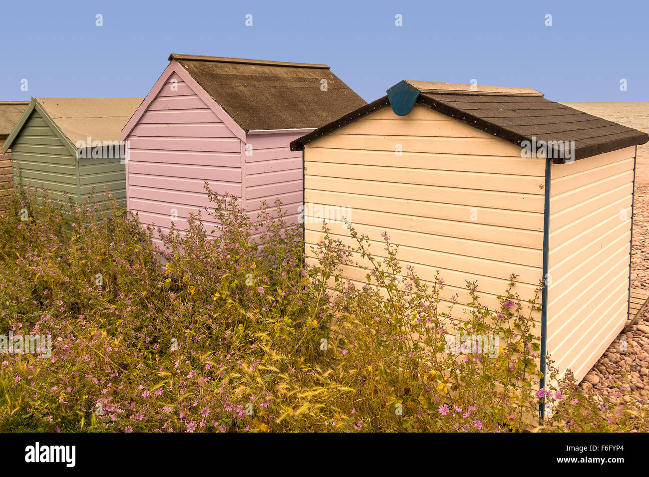 Cabine sulla spiaggia, e fiori Budleigh Salterton East Devon Regno Unito Foto Stock