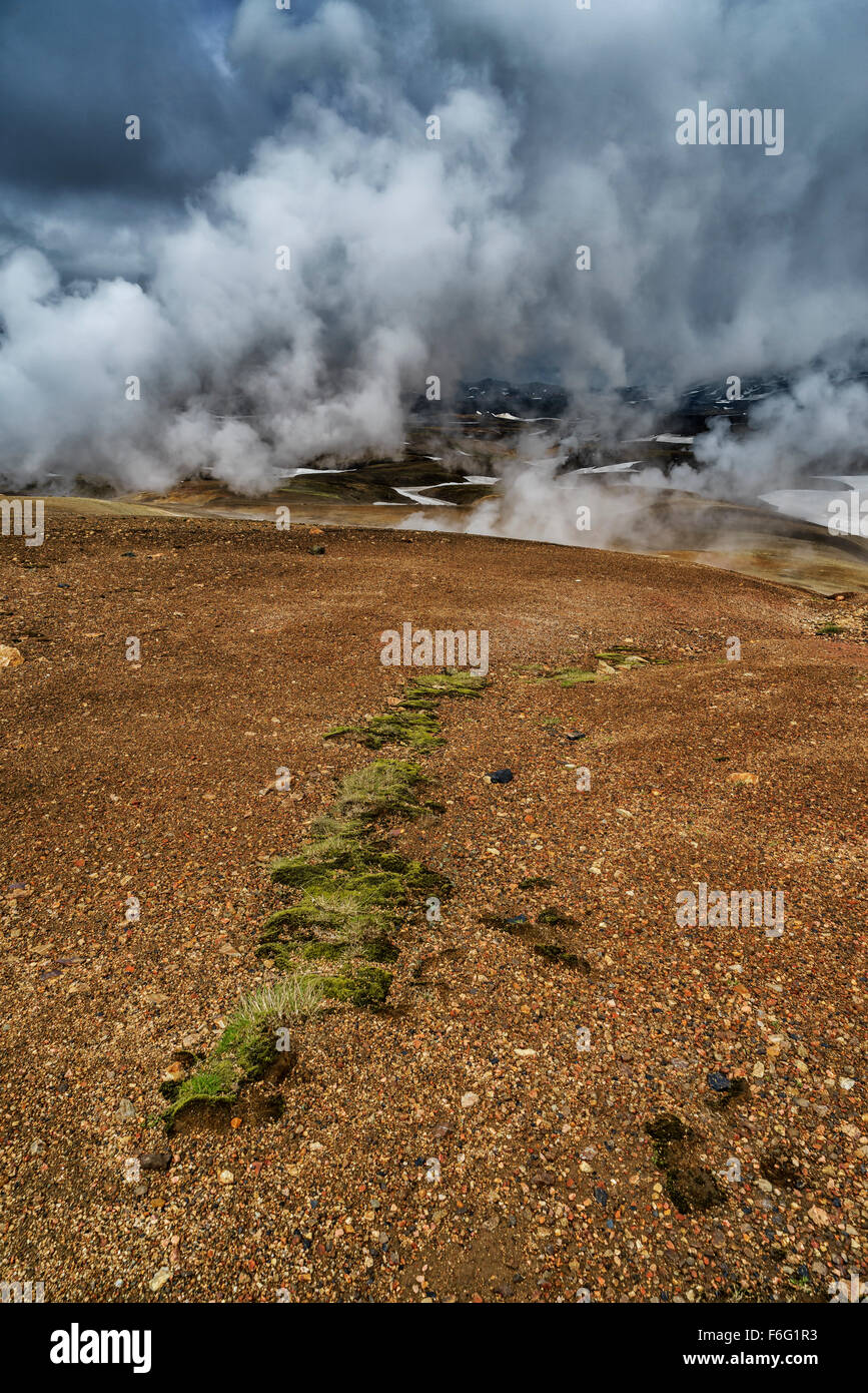 Aree geotermiche, Hrafntinnusker, Landmannalaugar, Highlands Centrali, Islanda Foto Stock