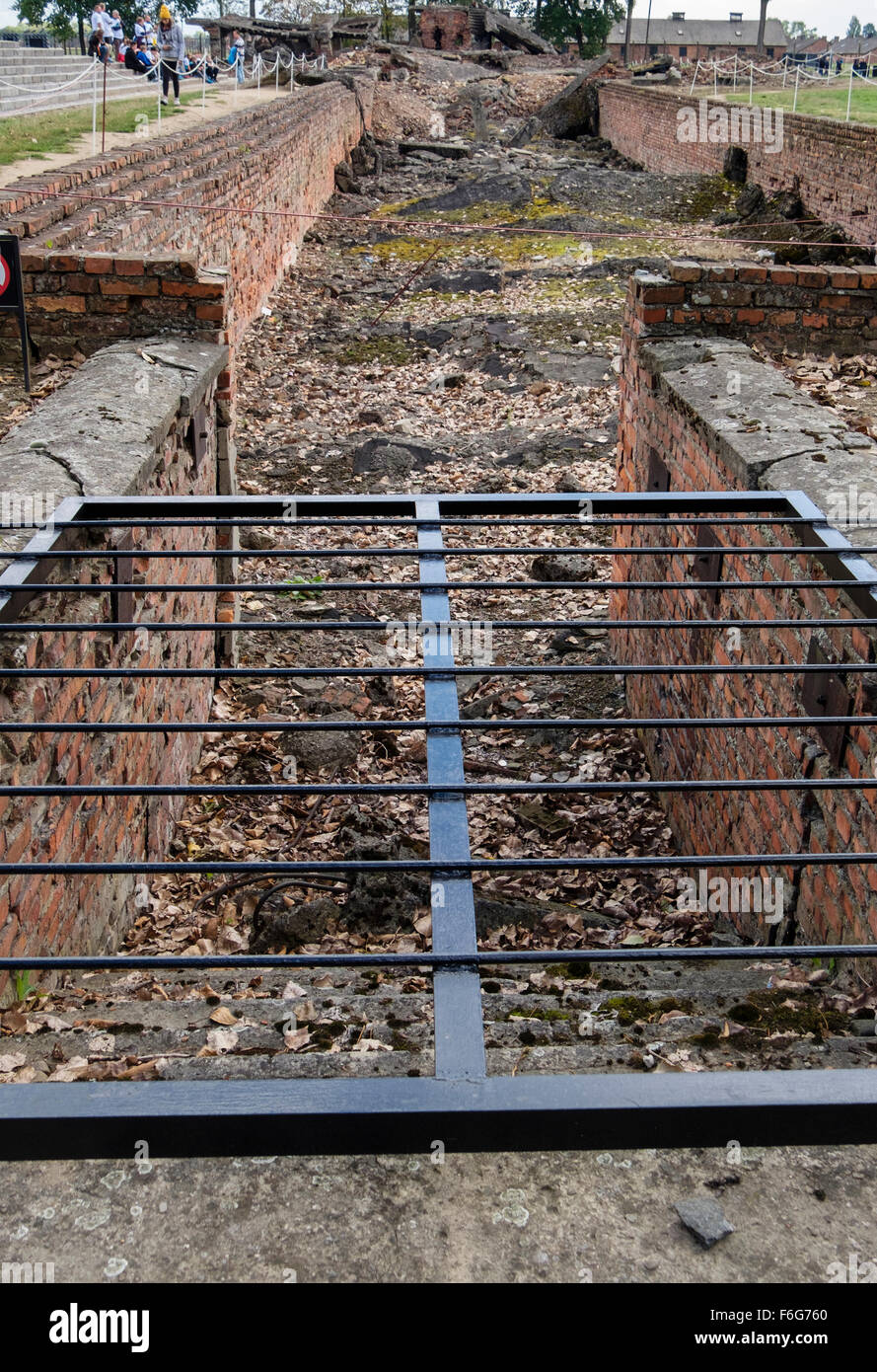 Ha rovinato la metropolitana camera a gas ad Auschwitz II-Birkenau tedesco Campo di lavoro e sterminio nazista. Oswiecim, Polonia Foto Stock