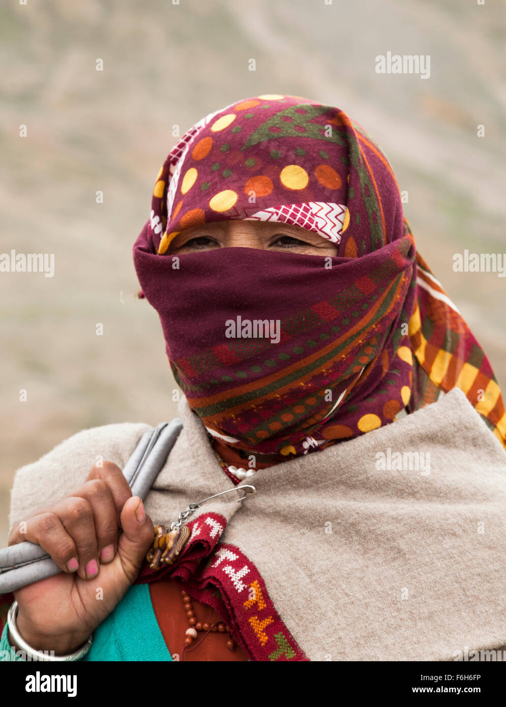 Donna indiana road lavoratore in abito tradizionale dalla regione himalayana di Himachal Pradesh Foto Stock