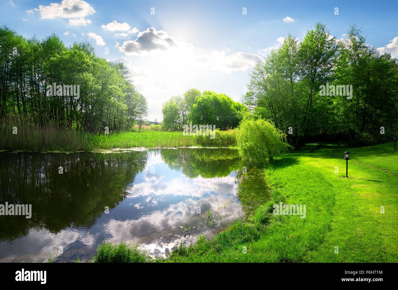Parco verde vicino al fiume calmo sotto la luce del sole Foto Stock