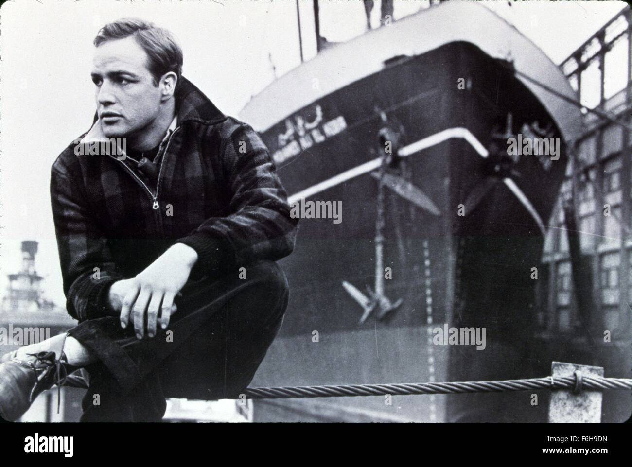 1954, il titolo del film: sul lungomare, direttore: Elia Kazan, nella foto: Marlon Brando. (Credito Immagine: SNAP) Foto Stock