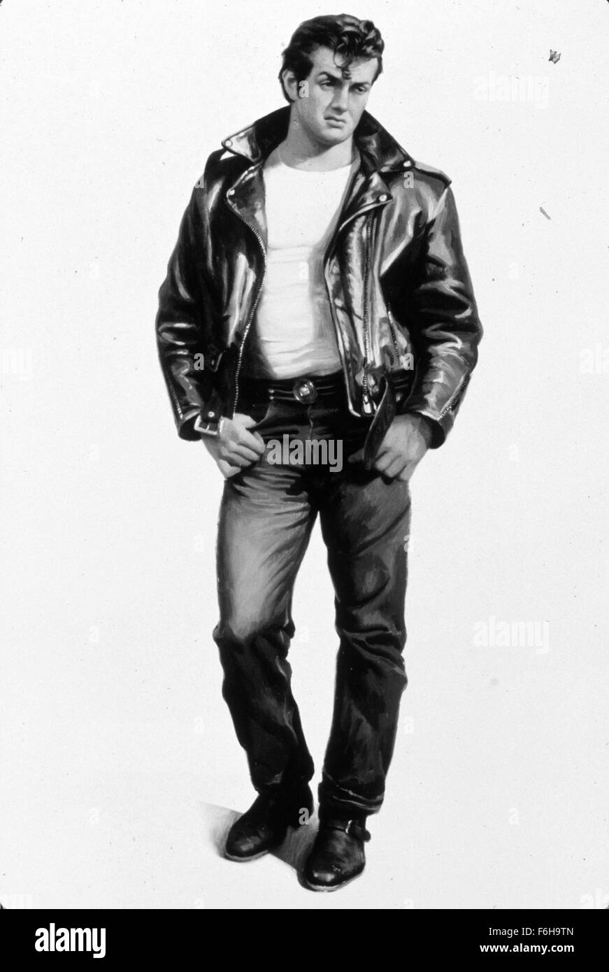 1973, il titolo del film: signori di FLATBUSH, nella foto: Sylvester Stallone, duro, BEEFCAKE, ribelle, Mani nelle tasche, giacca di pelle e capelli - grassa. (Credito Immagine: SNAP) Foto Stock