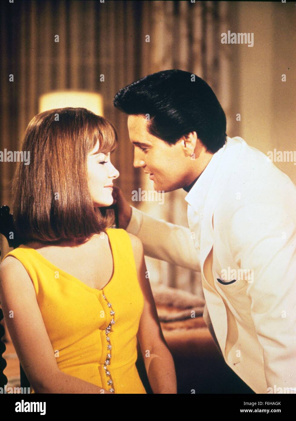 1966, il titolo del film: spin-out, Direttore: NORMAN TAUROG, Studio: MGM, nella foto: SHELLEY FABARES, ELVIS PRESLEY. (Credito Immagine: SNAP) Foto Stock