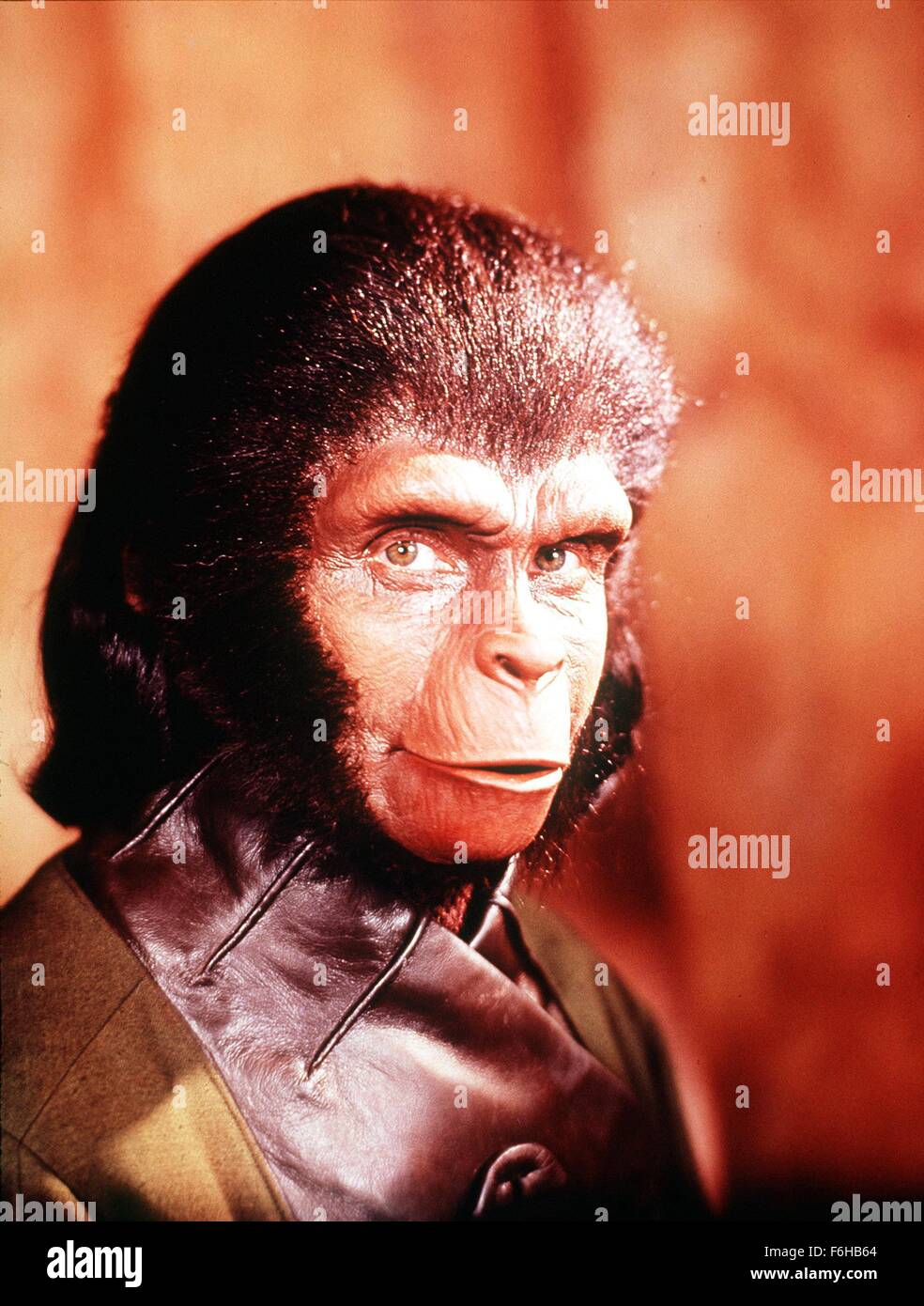 1968, il titolo del film: Il pianeta delle scimmie, Direttore: FRANKLIN J SCHAFFNER, Studio: volpe, nella foto: APE, Kim Hunter. (Credito Immagine: SNAP) Foto Stock