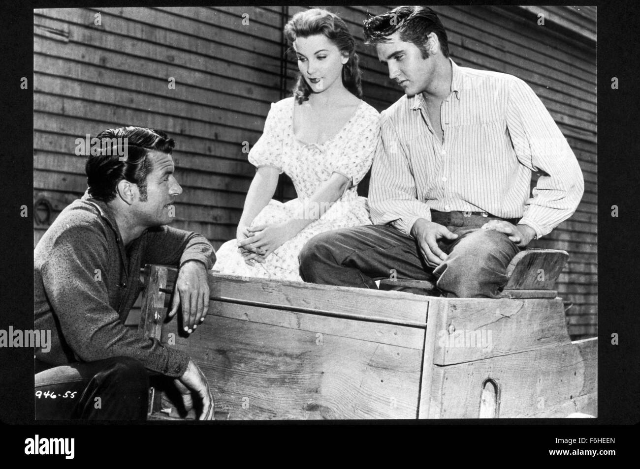 1956, il titolo del film: LOVE ME TENDER, REGISTA: ROBERT D WEBB, Studio: volpe, nella foto: RICHARD EGAN, DEBRA PAGET, ELVIS PRESLEY. (Credito Immagine: SNAP) Foto Stock