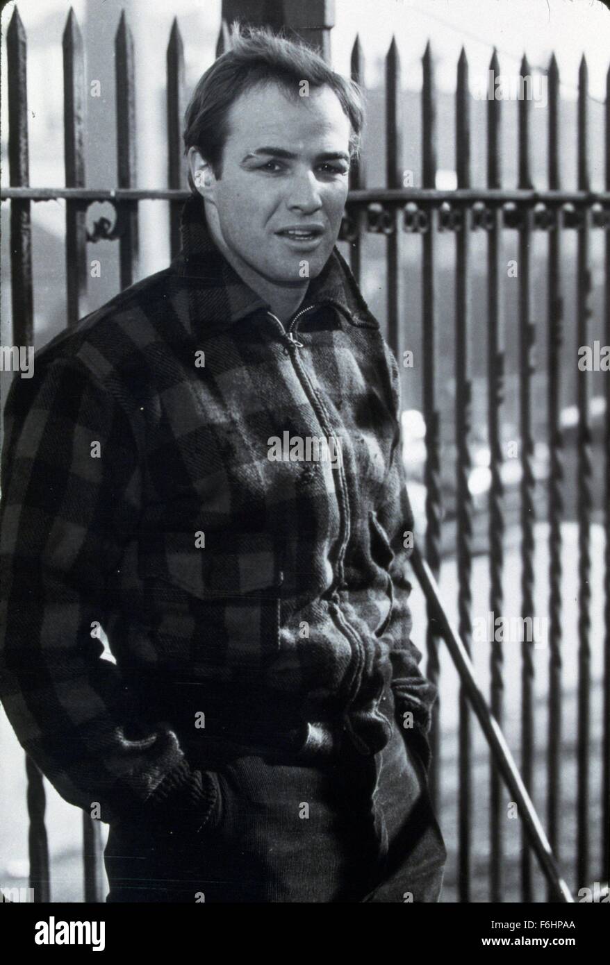 1954, il titolo del film: sul lungomare, direttore: Elia Kazan, nella foto: Marlon Brando. (Credito Immagine: SNAP) Foto Stock