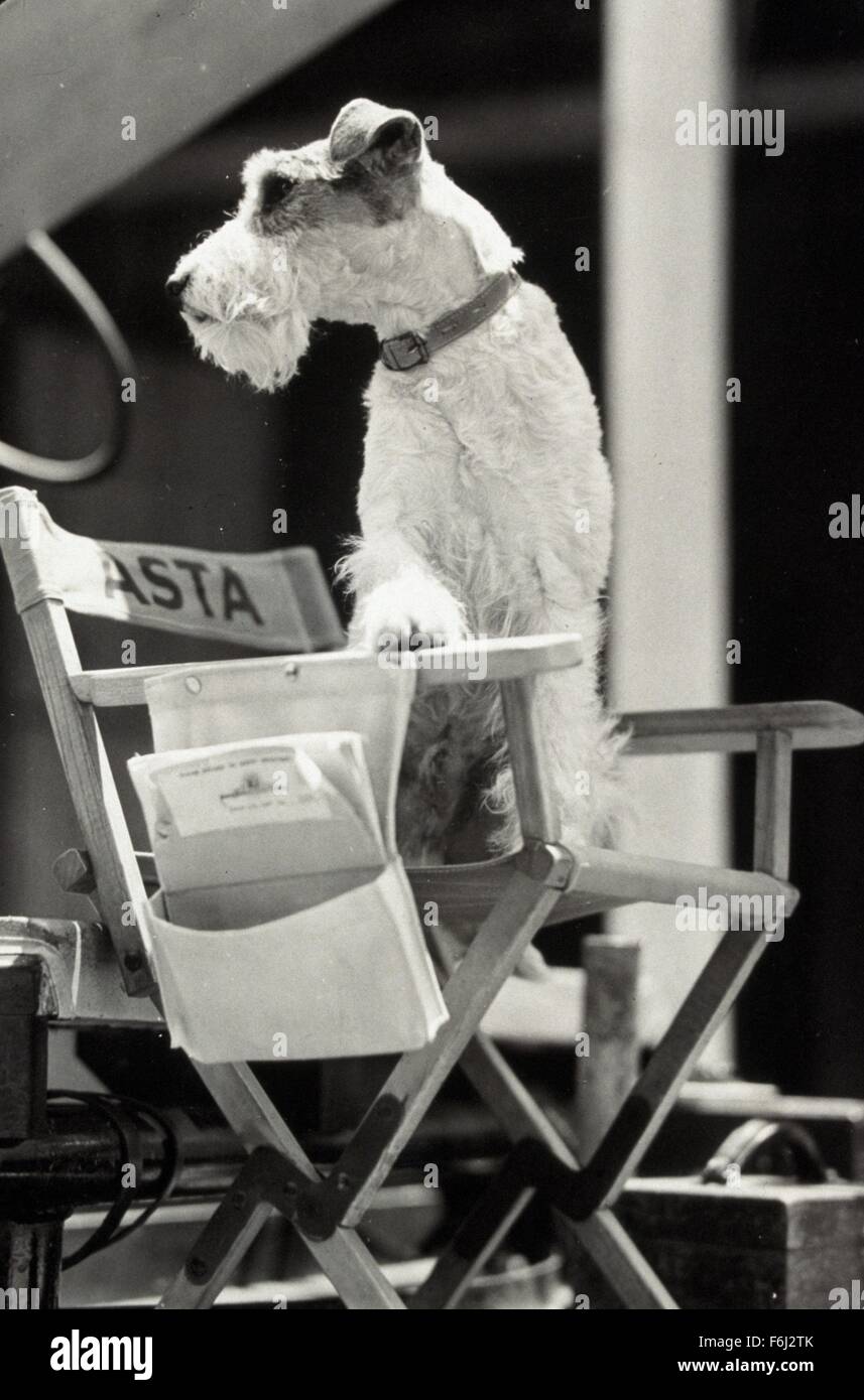 1934, il titolo del film: uomo sottile, Direttore: W S Van Dyke, Studio: MGM, nella foto: ASTA, cane. (Credito Immagine: SNAP) Foto Stock