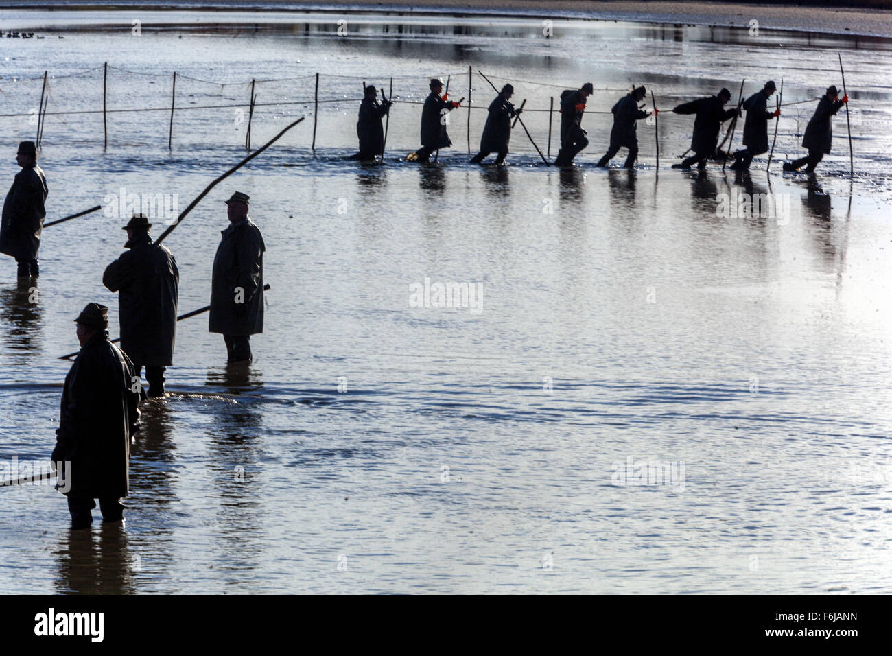 I pescatori in una fila di reti da traino la tradizionale raccolta della Repubblica ceca Carp Pond Bosilec. Boemia del Sud, Repubblica Ceca Foto Stock