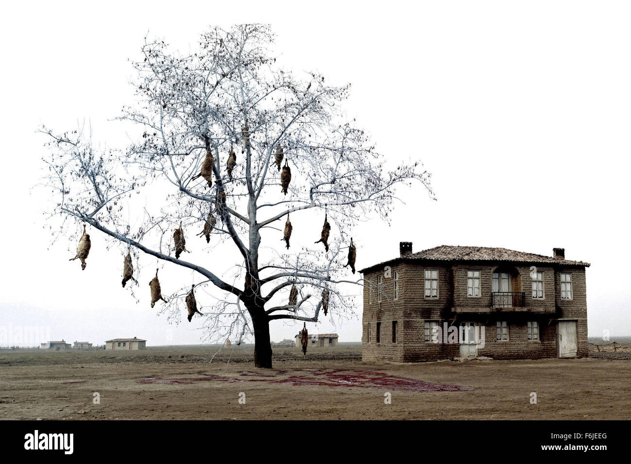 Data di rilascio: ottobre 8, 2004. Il titolo del filmato: Trilogy: pianto Prati. STUDIO: Bac Films. Trama: Questo è il primo film di Theo Angelopoulos trilogia. La storia inizia nel 1919 con alcuni profughi greci da Odessa arrivando da qualche parte vicino a Salonicco. Tra queste persone sono due bambini piccoli, Alexis e Eleni. Eleni è un orfano e lei è anche preso cura da Alexis' famiglia. I rifugiati a costruire un piccolo villaggio da qualche parte vicino a un fiume e possiamo osservare come i bambini crescere e cadere nell'amore. Nella foto: . Foto Stock