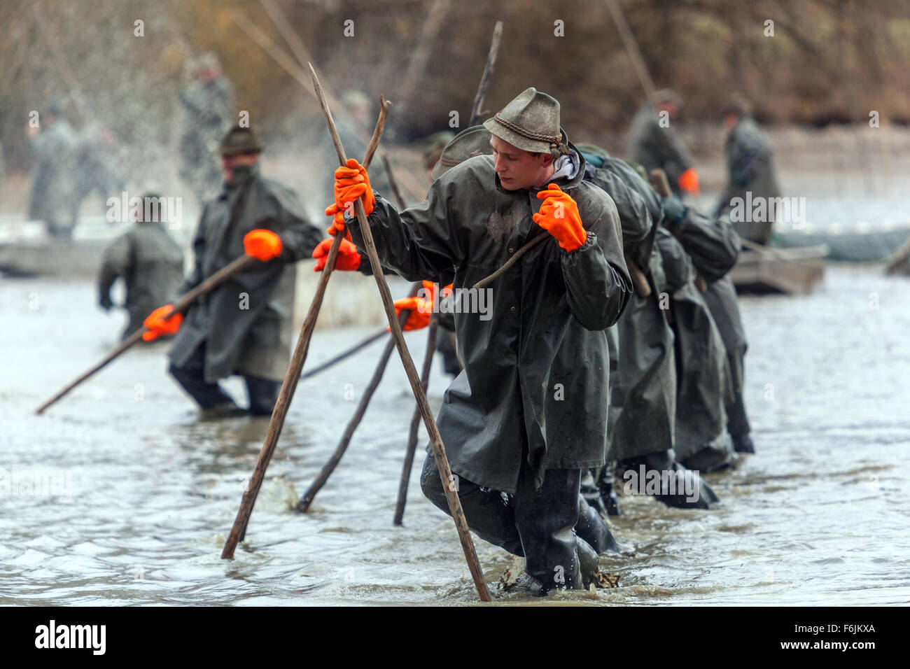 Pescatori di carpe che tirano le reti tradizionale raccolta di carpe ceche Stagno Bosilec. Boemia meridionale, Repubblica Ceca Fish Farming Foto Stock