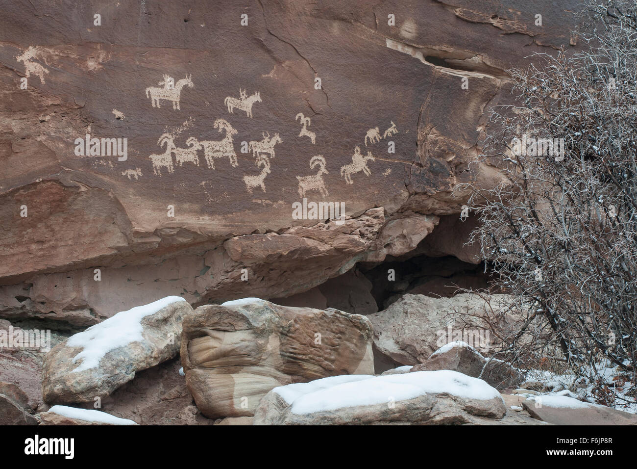 Un petroglyph raffiguranti i quattro cavalieri a cavallo, cani e un allevamento di pecore bighorn. Foto Stock