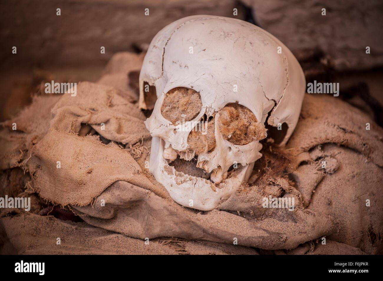 Un bambino del cranio (cimitero di Chauchilla, Perù). Foto Stock