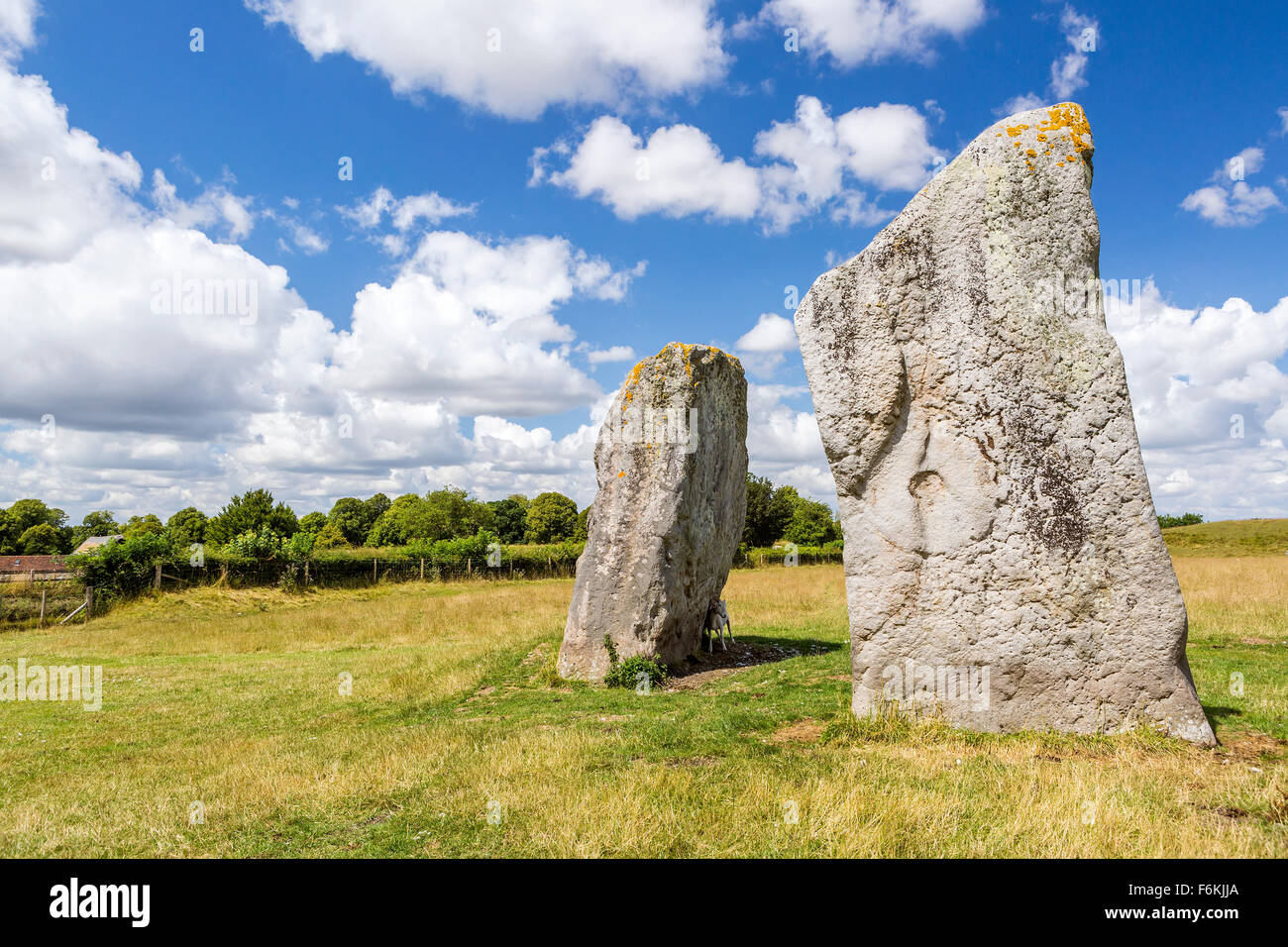 Ad Avebury permanente del Neolitico Stone Circle, Wiltshire, Inghilterra, l'Europa. Foto Stock