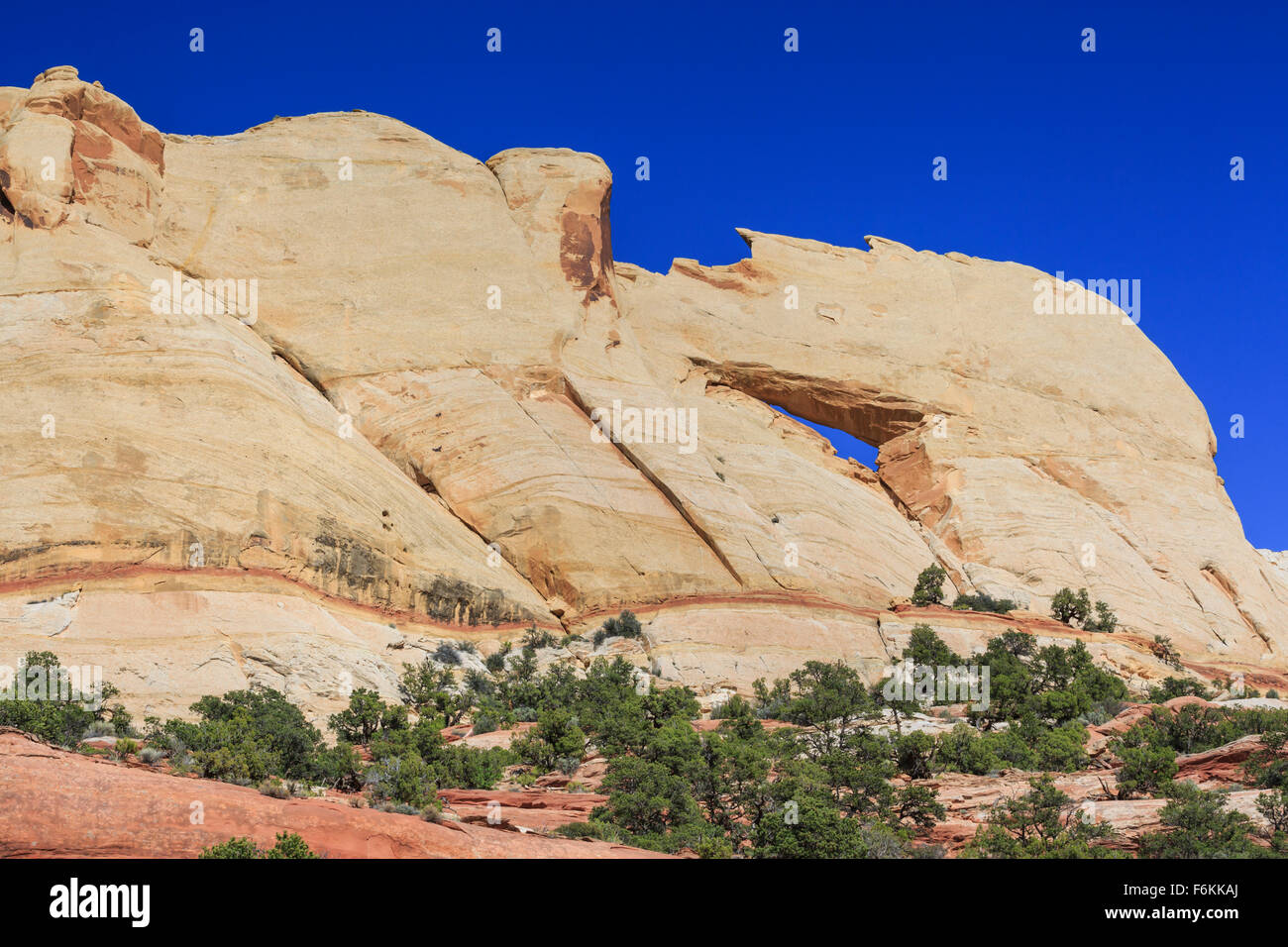 Peek-a-boo arch a Capitol Reef National Park nello Utah Foto Stock