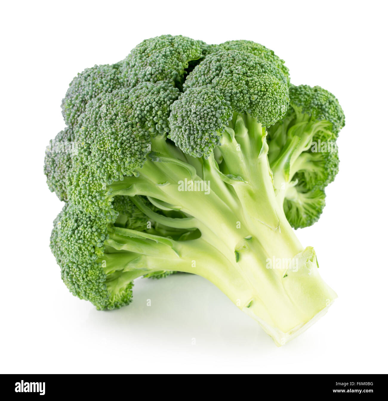 Broccoli verdi isolati su uno sfondo bianco. Foto Stock