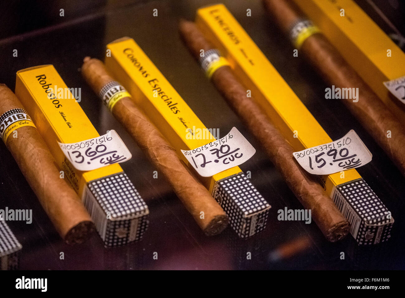 Sigari Cohiba nel settore della vendita al dettaglio con i singoli pacchetti, sigari cubani nella sala vendita di un mercante di sigari, souvenir, La Habana, Cuba Foto Stock