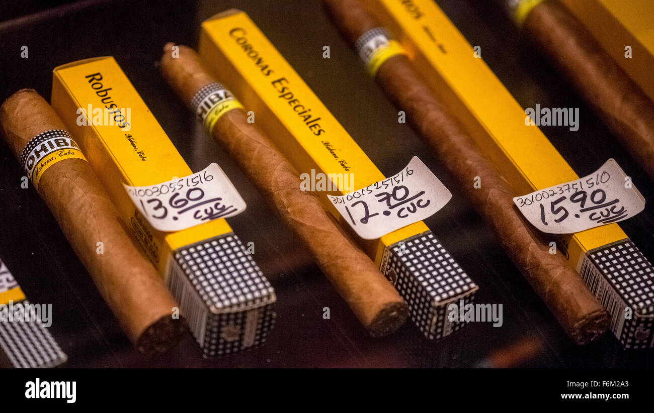 Sigari Cohiba nel settore della vendita al dettaglio con i singoli pacchetti, sigari cubani nella sala vendita di un mercante di sigari, souvenir, La Habana, Cuba Foto Stock