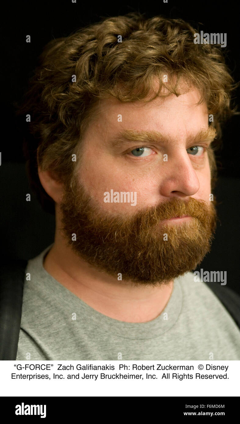 Data di rilascio: 24 luglio 2009. Il titolo del filmato: G-Force. STUDIO: Walt Disney Pictures. Trama: La storia è un team di esperti di agente segreto cavie che prende su una missione per il governo degli Stati Uniti. Un appositamente addestrato squad di cavie è spedito per fermare un diabolico miliardario che prevede di assumere il controllo del mondo con elettrodomestici. Nella foto: Zach Galifianakis come Ben. Foto Stock