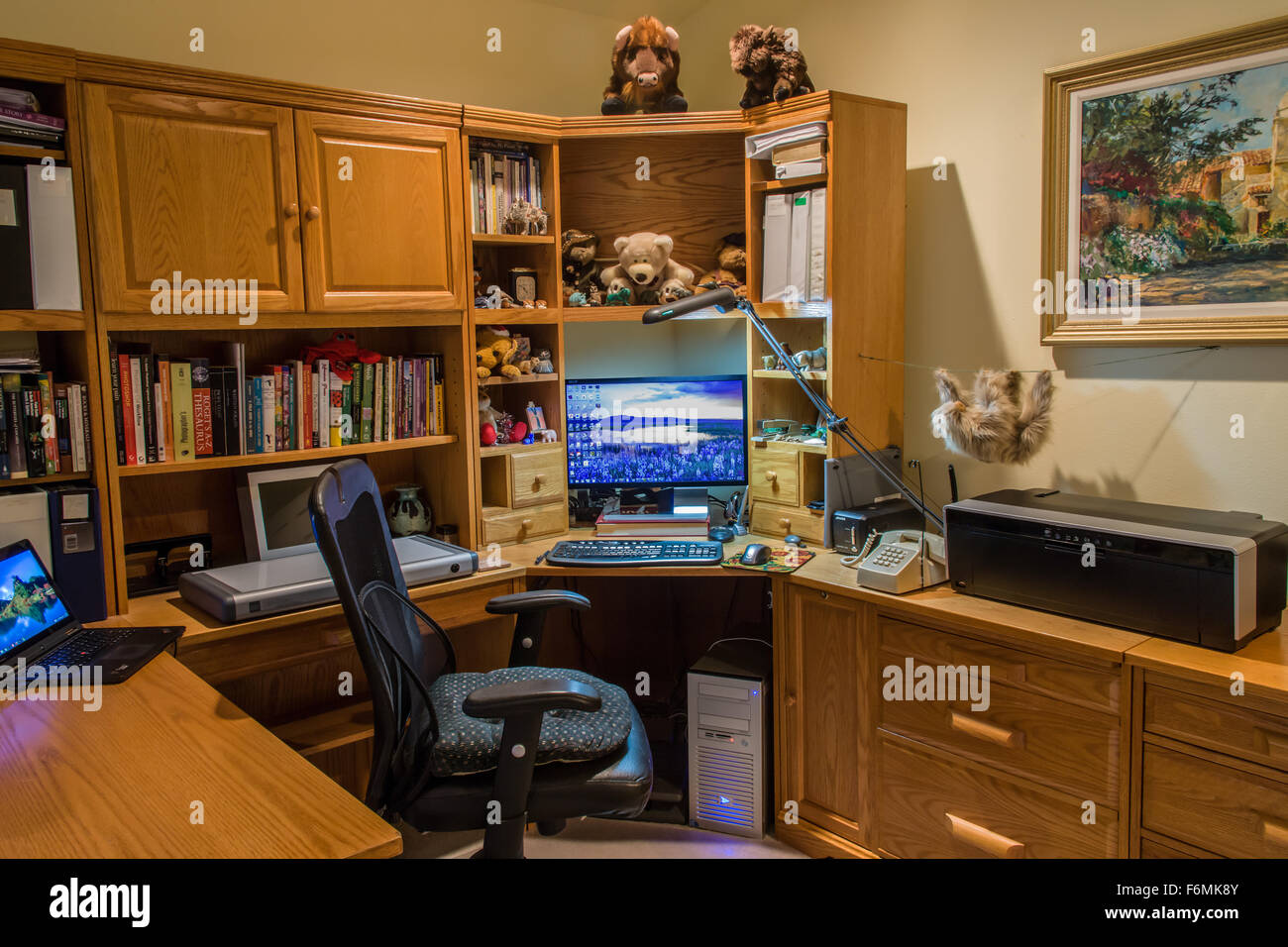 In-home office con computer desktop, monitor, scaffali, scrivania, libri e necessario animali imbalsamati Foto Stock