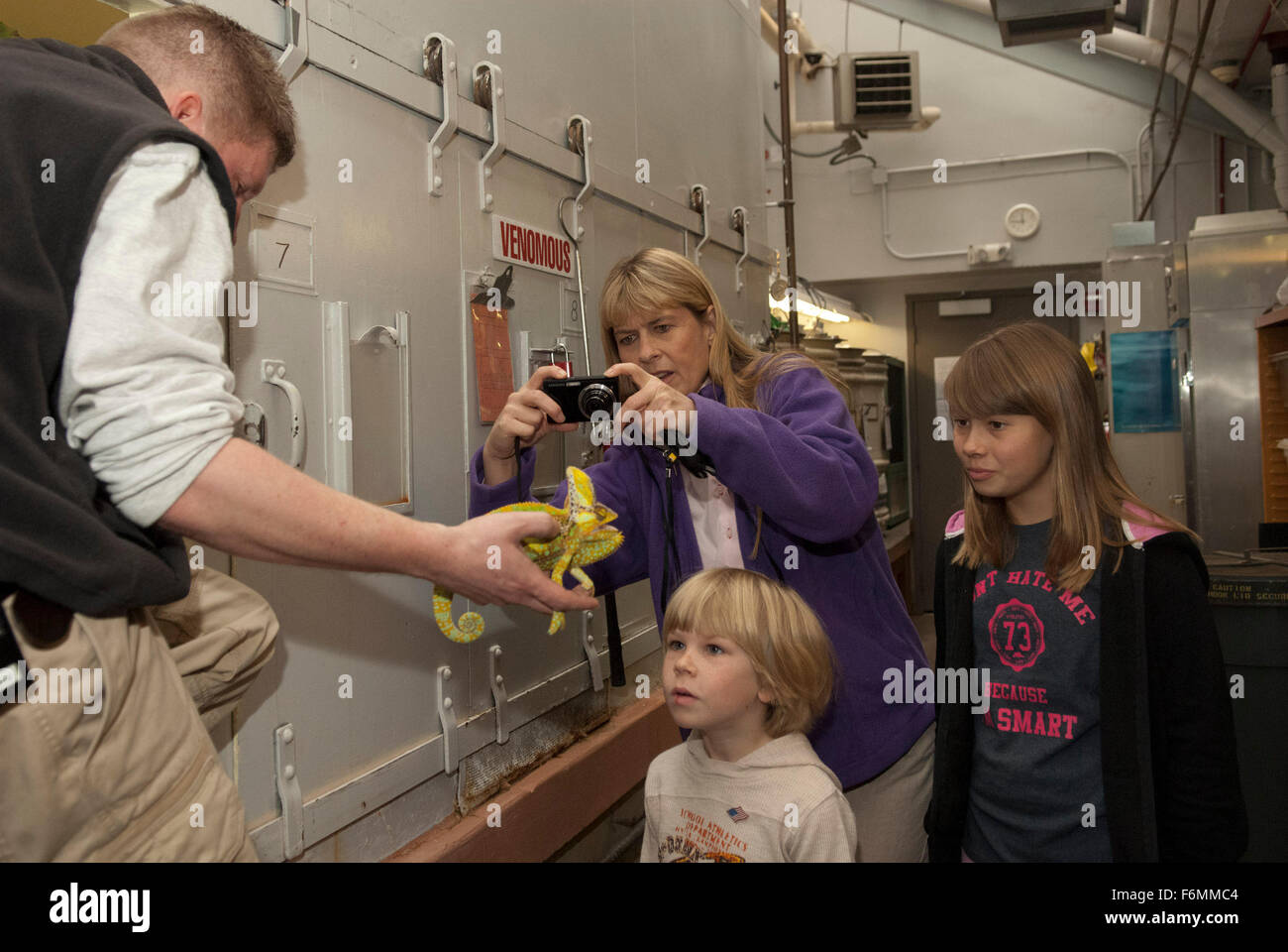 Data di rilascio: Marzo 23, 2010. Il titolo del filmato: Free Willy: Fuga da Pirate's Cove. STUDIO: Film Afrika in tutto il mondo. Trama: . Nella foto: Terri Irwin, ROBERT IRWIN e Bindi Irwin. Foto Stock