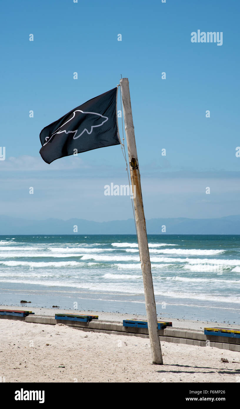 La bandiera blu con contorno di uno squalo bianco a Lookout Point per gli squali a sud della costa africana Foto Stock