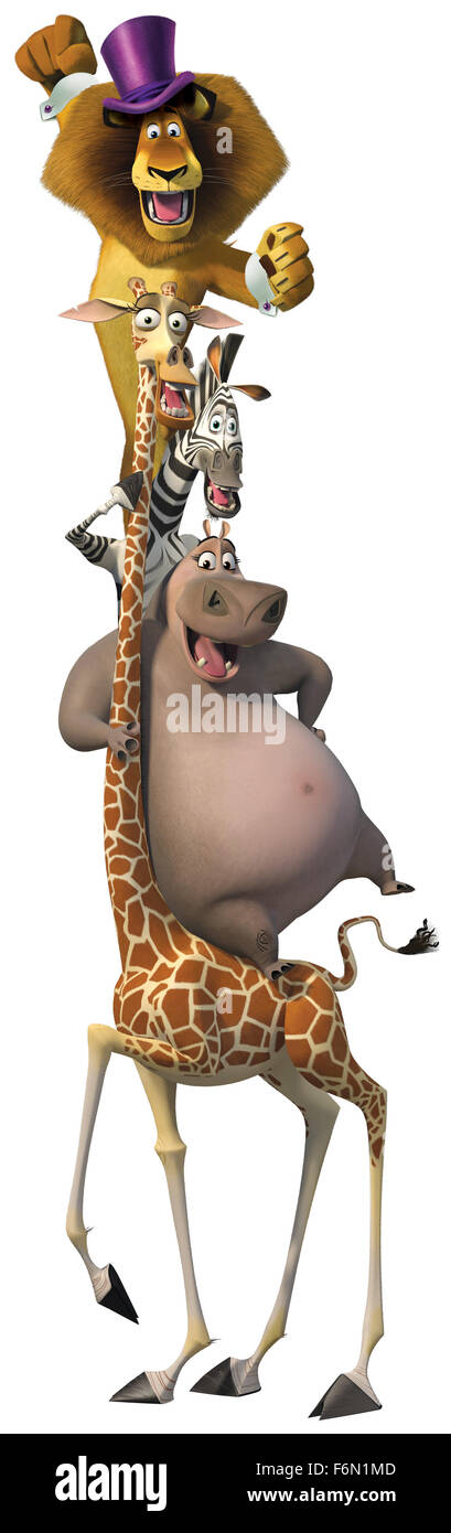 Data di rilascio: giugno 8, 2012 il titolo del filmato: Madagascar 3: Europa's Most Wanted STUDIO: Dreamworks direttore: Eric Darnell e Tom McGrath e Conrad Vernon trama: Alex, Marty, Gloria e Melman sono ancora in lotta per arrivare a casa al loro amato Big Apple. Il loro viaggio li porta in Europa dove trovano una perfetta copertura: un circo itinerante, che essi reinventare - stile Madagascar nella foto: Alex il leone (Ben Stiller), Marty la zebra (Chris Rock), gloria di Ippona (Jada Pinkett Smith) e Melman la giraffa (David Schwimmer) (credito Immagine: c Dreamworks/Entertainment Pictures/.co Foto Stock