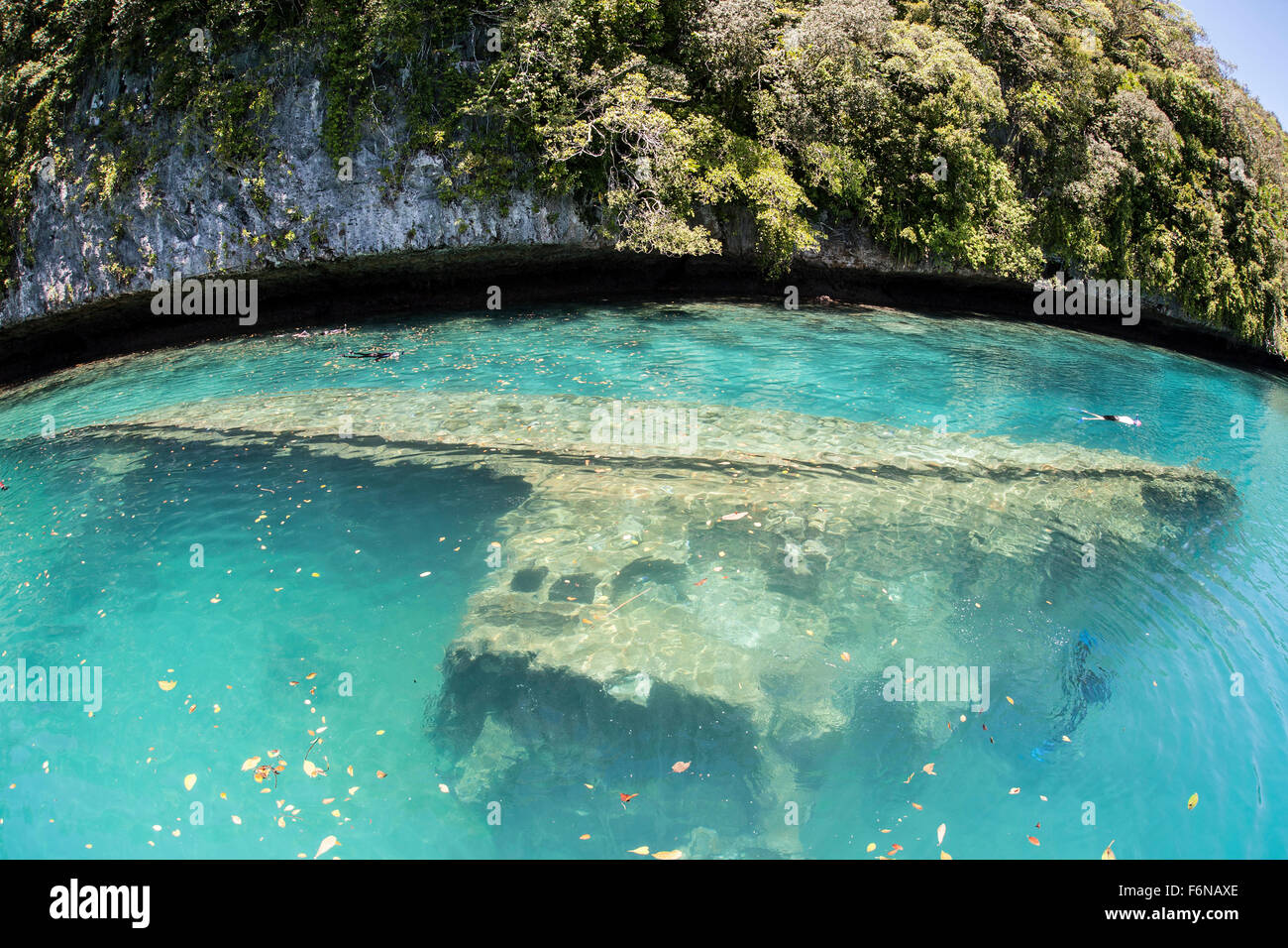Un naufragio serve ora come un reef artificiale in Palau la laguna interna. Scogliere artificiali attrarre colonizzando invertebrati e reef Foto Stock