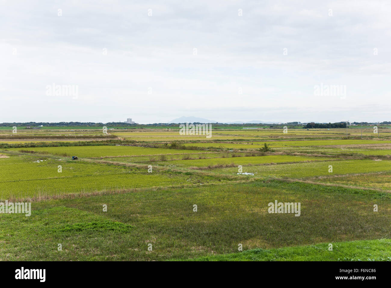 Tanaka bacino di rallentamento,Kashiwa City, nella prefettura di Chiba, Giappone Foto Stock