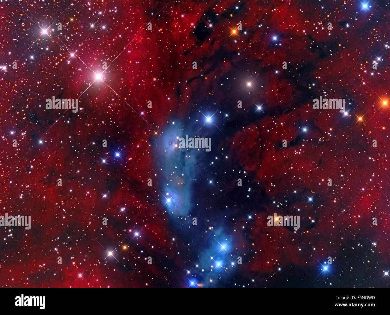 NGC 6914, una nebulosa a riflessione in Cygnus. Foto Stock