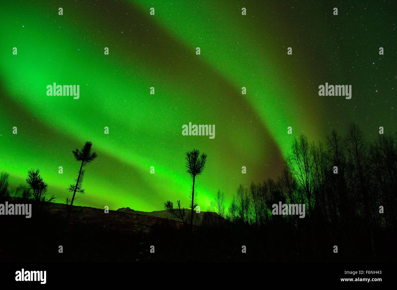 Forte verde aurora boreale su strade coperte di neve montagna e foresta invernale nel circolo polare artico Foto Stock