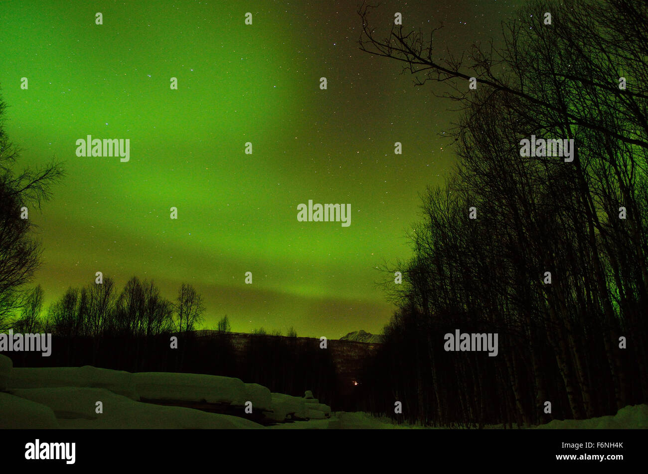 Forte verde aurora boreale su strade coperte di neve montagna e foresta invernale nel circolo polare artico Foto Stock