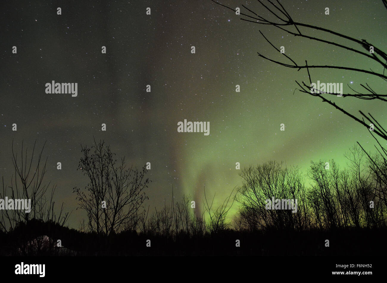 Forte verde aurora boreale su strade coperte di neve montagna e foresta invernale nel circolo polare artico Foto Stock