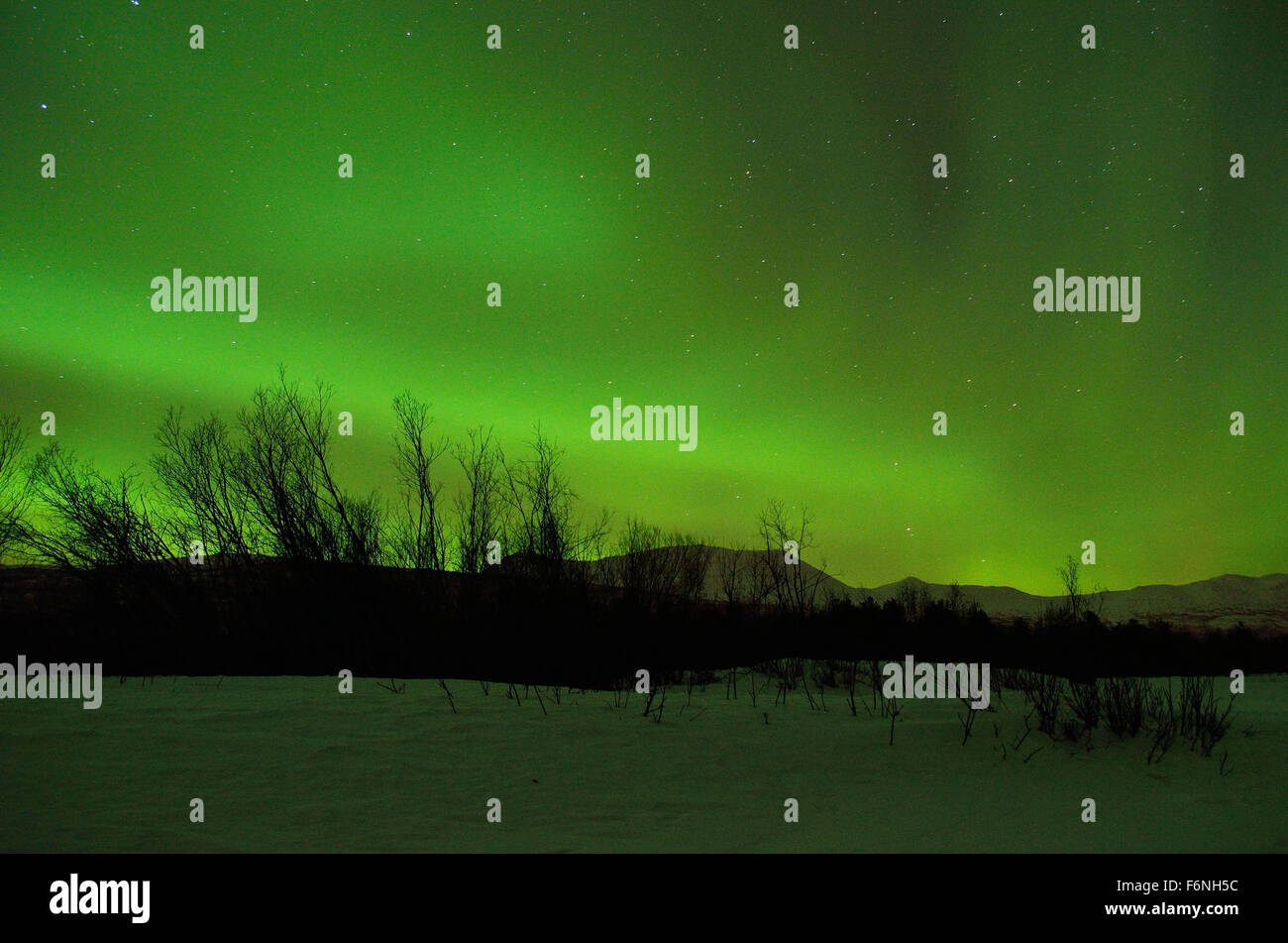 Forte verde aurora boreale su strade coperte di neve montagna e foresta invernale nel circolo polare artico Foto Stock