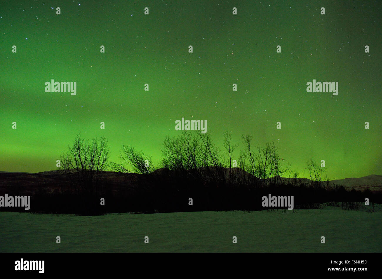 Forte verde aurora boreale su strade coperte di neve montagna e foresta invernale nel circolo polare artico Foto Stock