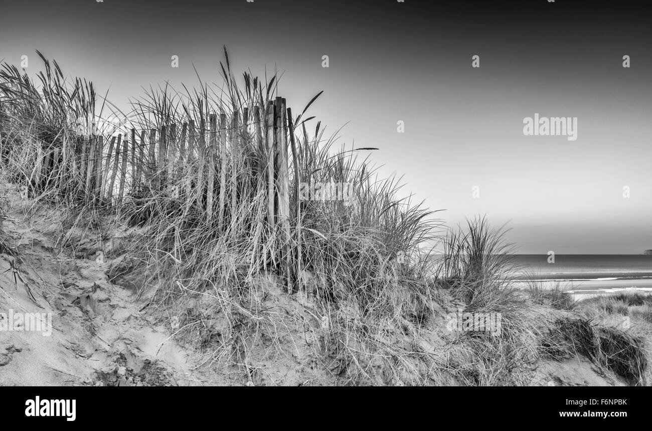 Sunrise oltre le dune di sabbia sul sistema giallo sabbia spiaggia dorata Foto Stock