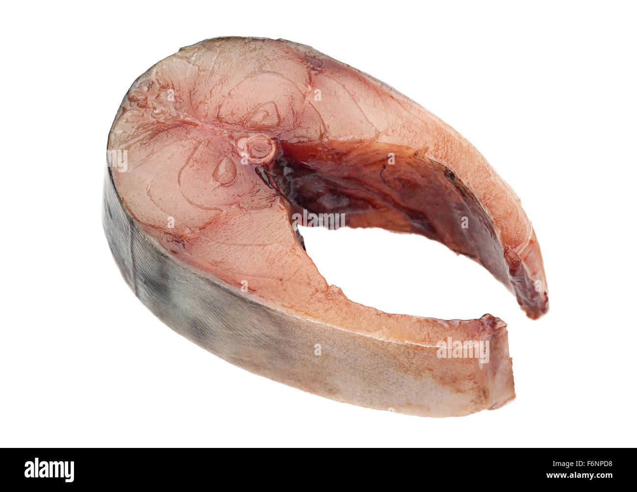 Sgombro pesce di mare slice isolati su sfondo bianco Foto Stock