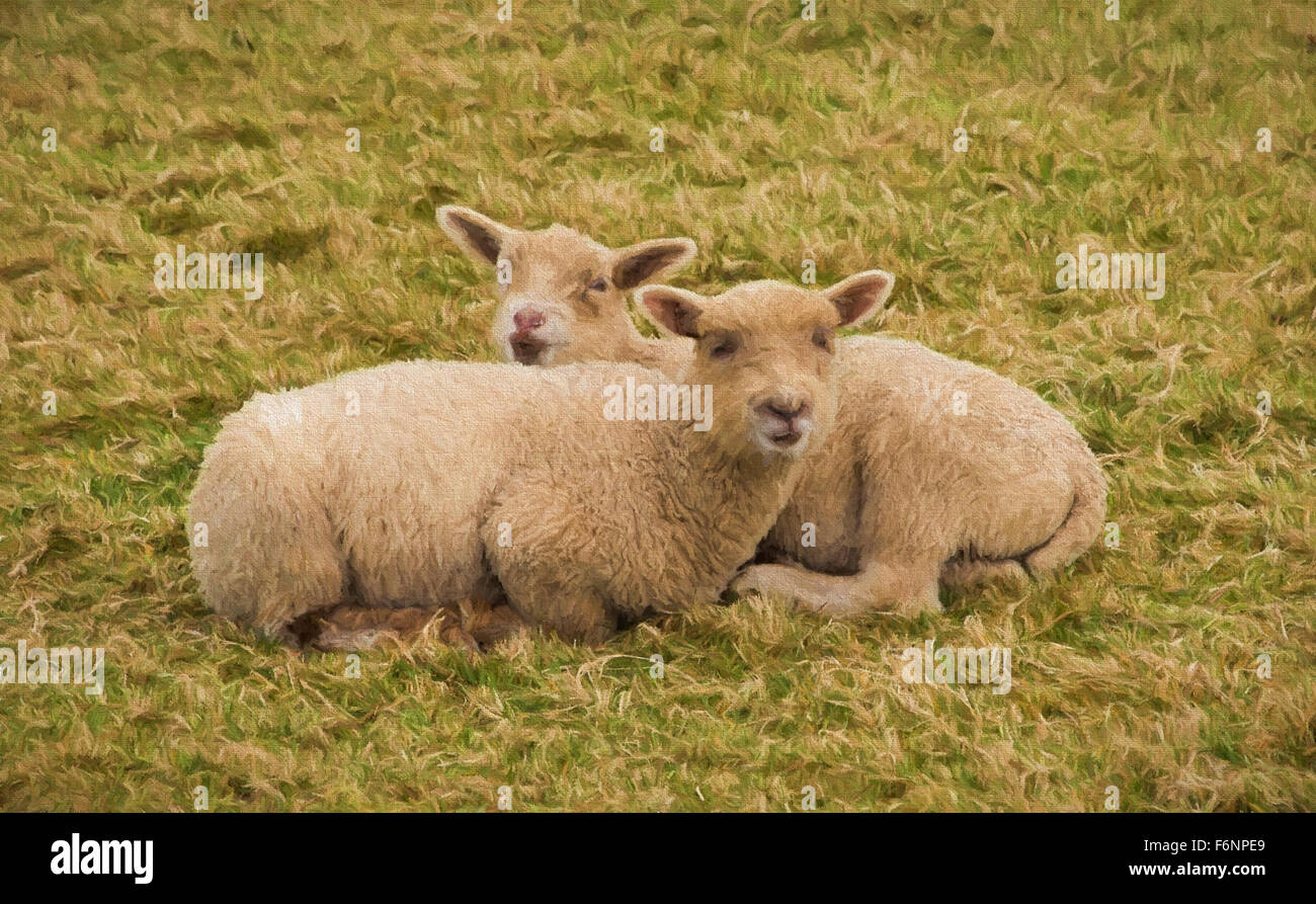 Due agnelli che giacciono insieme coccolando guardando l'illustrazione della macchina fotografica come pittura dell'olio Foto Stock