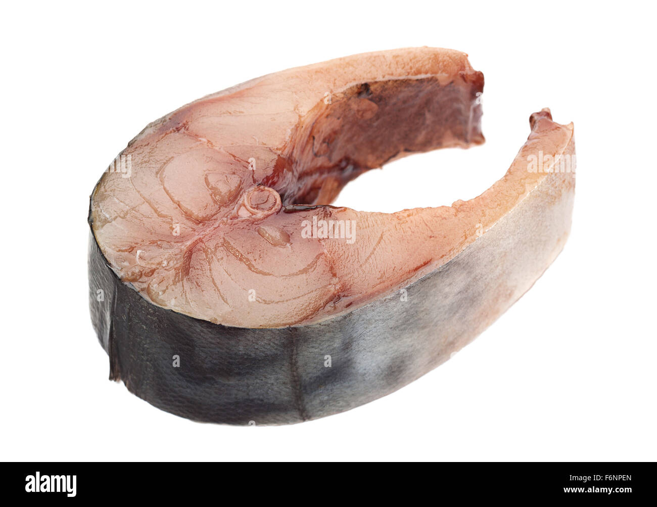Sgombro pesce di mare slice isolati su sfondo bianco Foto Stock