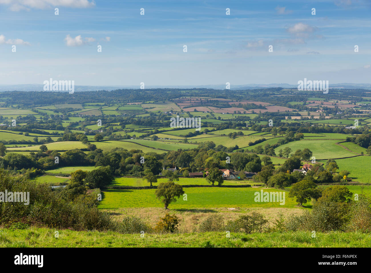 Blackdown Hills East Devon campagna vista da est collina vicino Ottery St Mary in una zona di straordinaria bellezza naturale Foto Stock