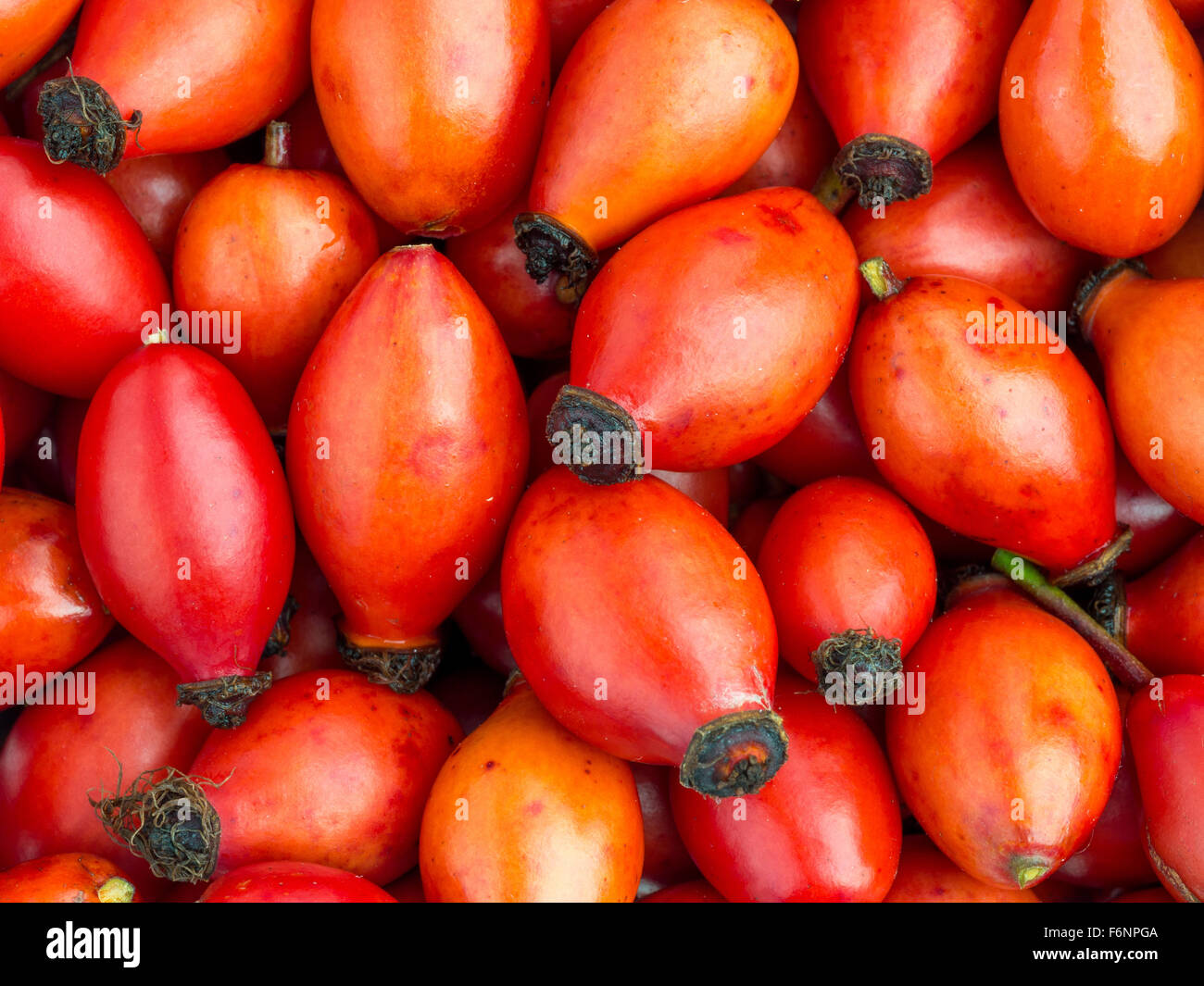 Mazzetto di fresca frutta di radica shot dal di sopra Foto Stock