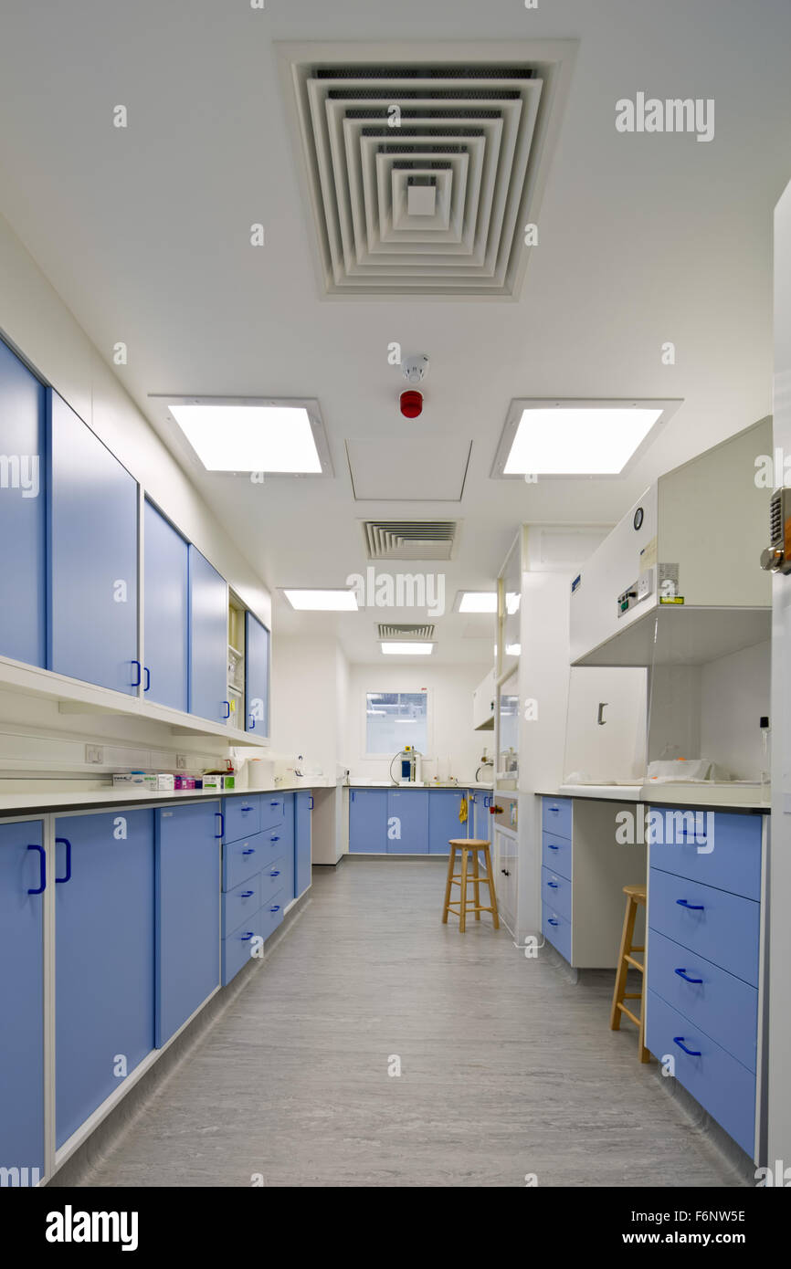 Laboratorio presso l'Imperial College di Londra. Scuola Reale di mine Building. Foto Stock