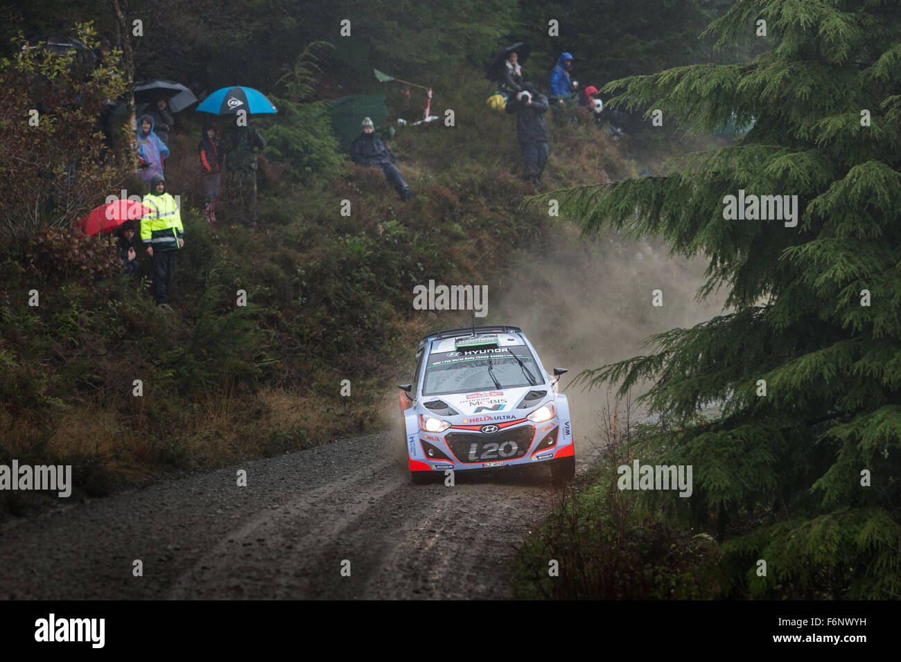 Kevin Abbring & Seb Marshall, SS10 Dyfi, Rally Galles GB 2015, WRC. 10 Hyundai Motorsport, Hyundai i20 WRC, azione Foto Stock